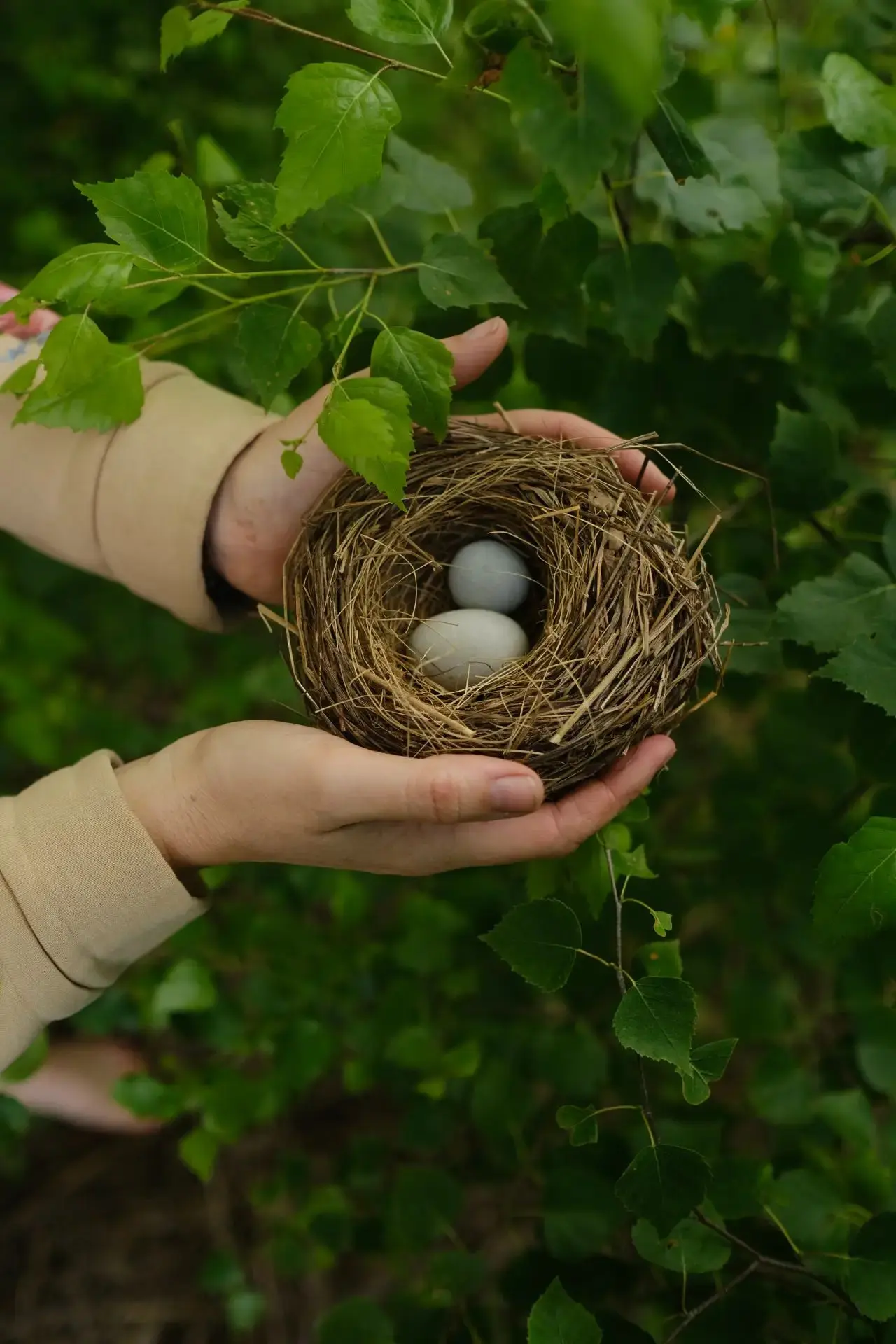 🌿 Почему ты до сих пор не знаешь , чего хочешь от жизни?
