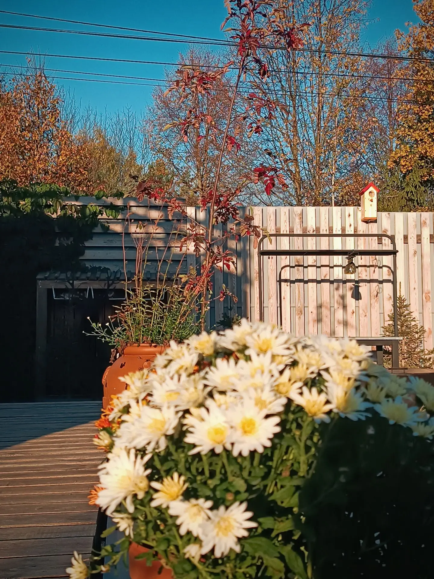 Фото дня 🌿