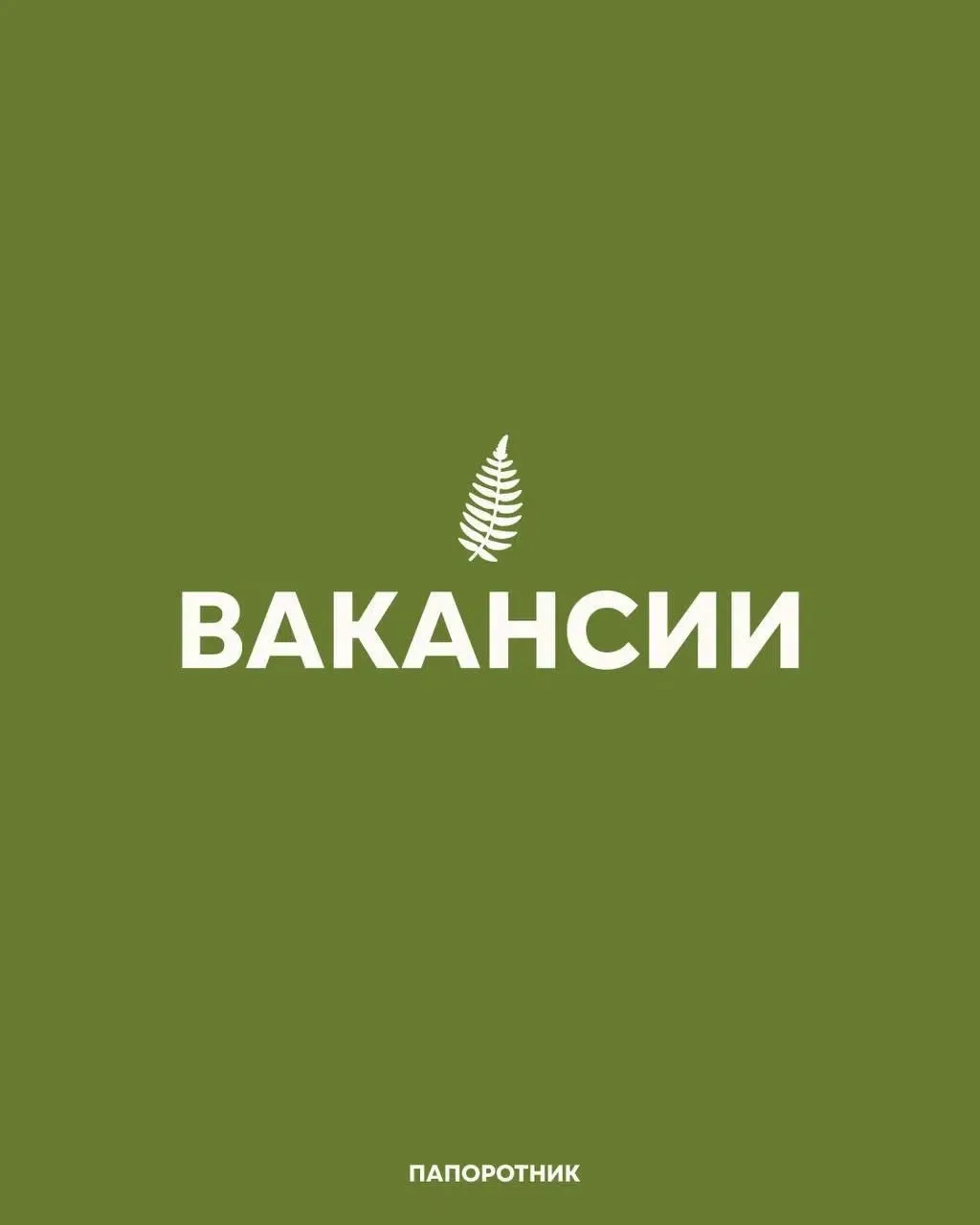 🌿 Ищем человека, который любит порядок в цифрах