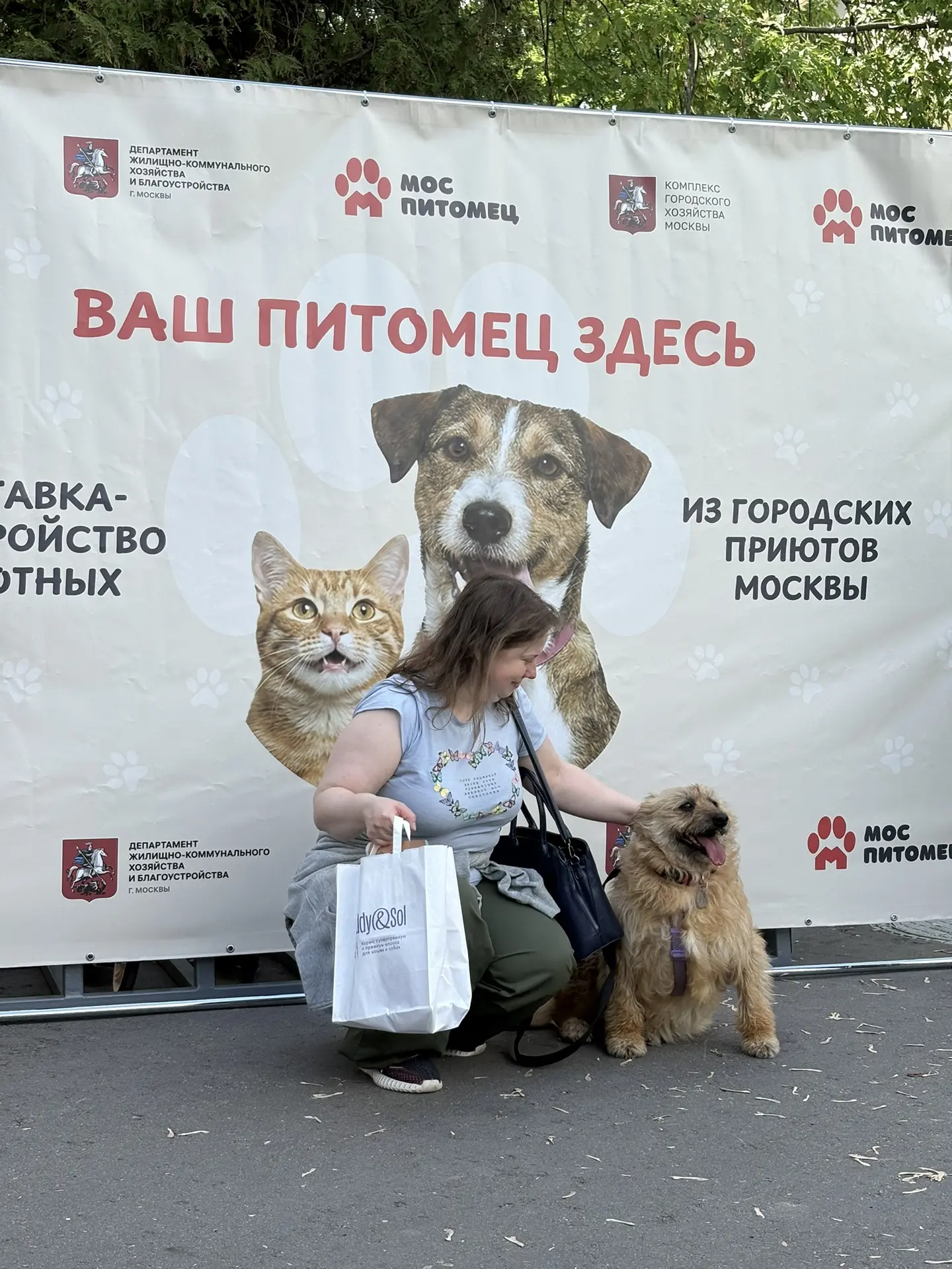 Три кошки и собака уже нашли дом на выставке-пристройстве животных на #ВДНХ  Мероприятие проходит ок