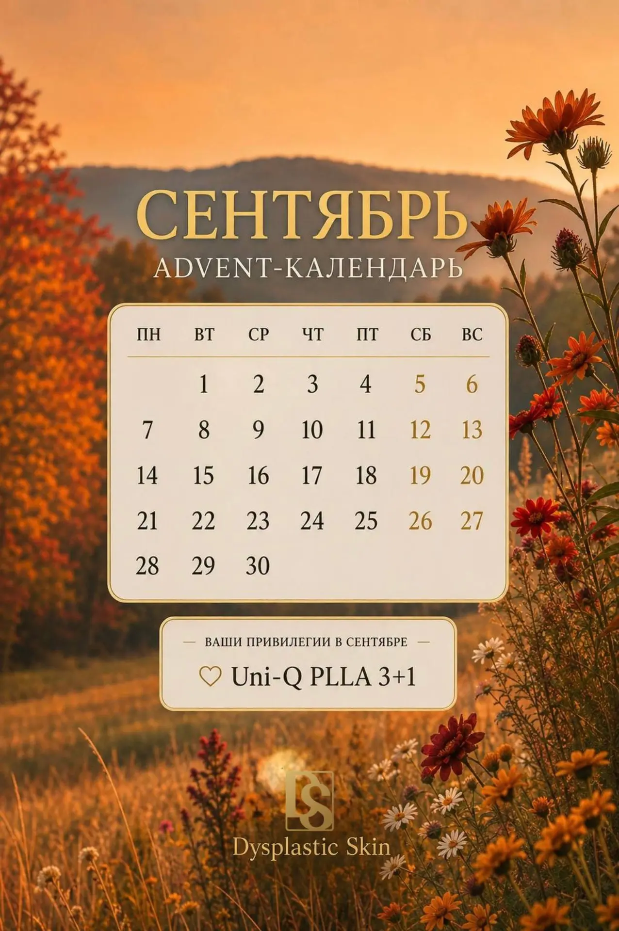 🍁СЕНТЯБРЬ - время воспользоваться привилегиями вашего Advent-календаря.