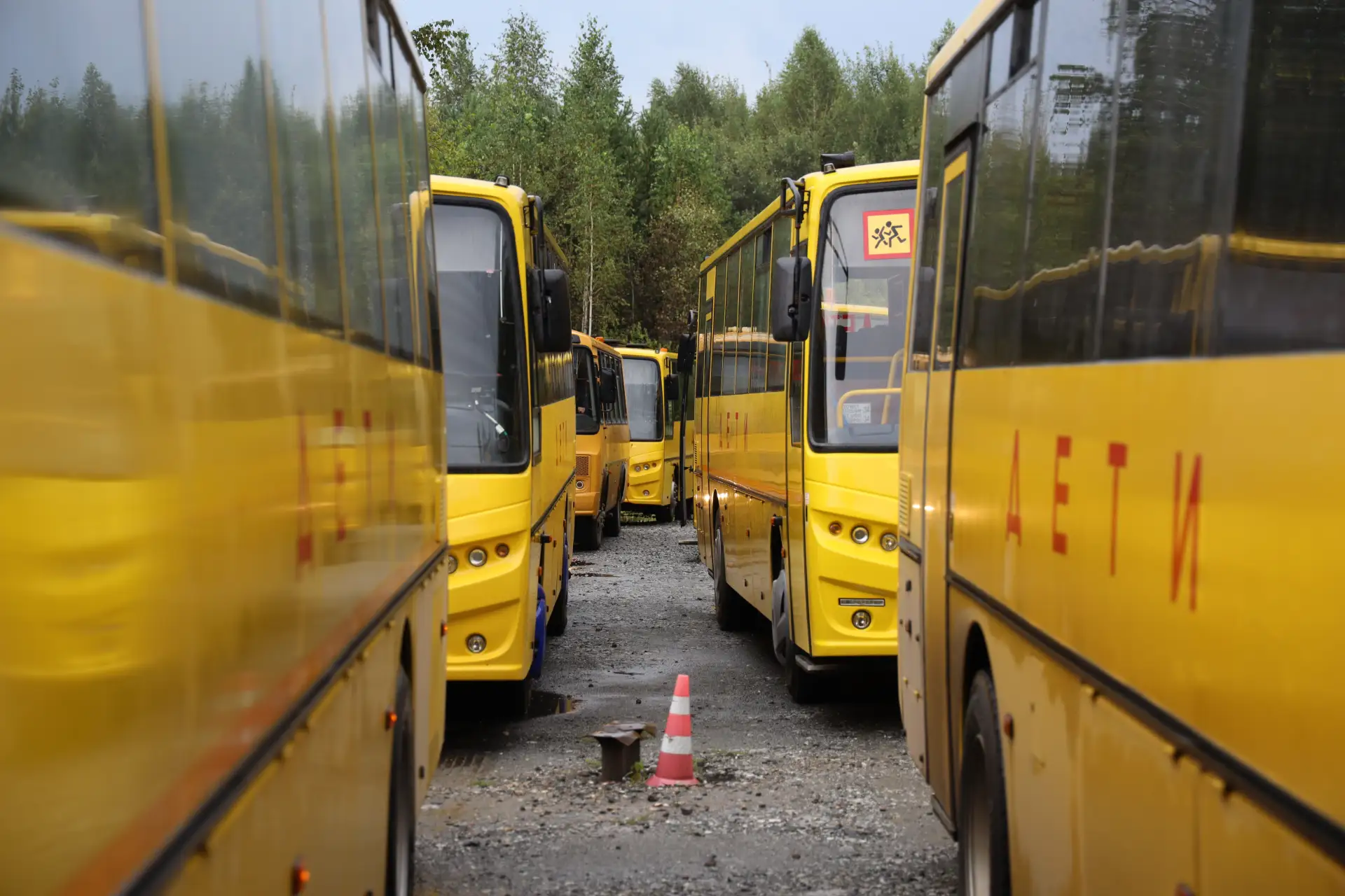 В Тюменском округе идет приемка школьных автобусов 🚍