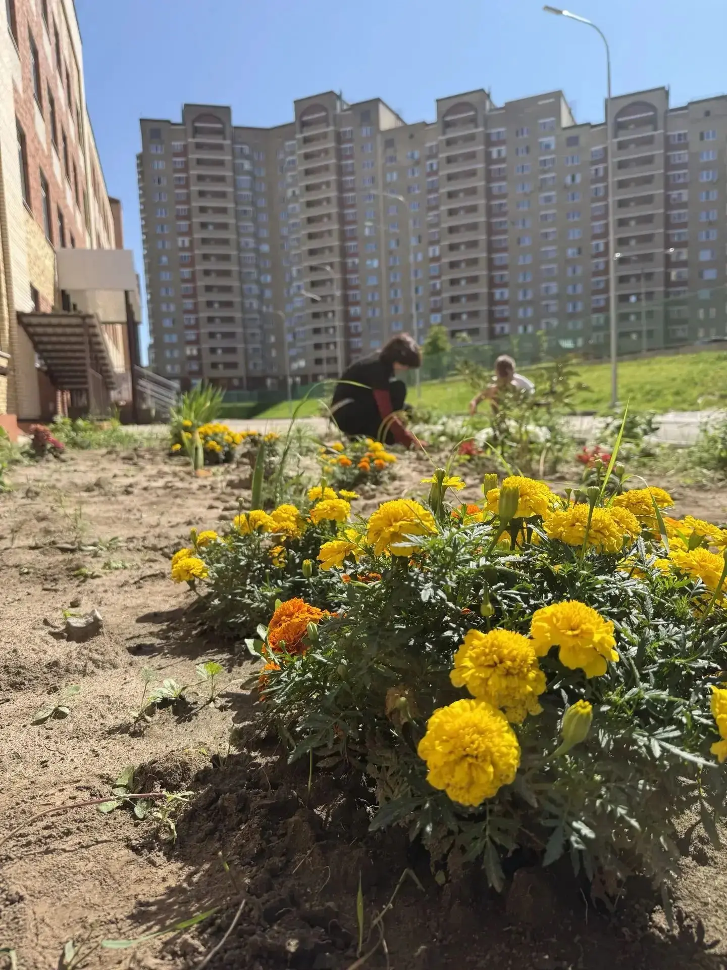 🌿 «Добрая клумба»: добрые дела начинаются с малого! 🌿
В гимназии кипит волонтёрская работа — семик