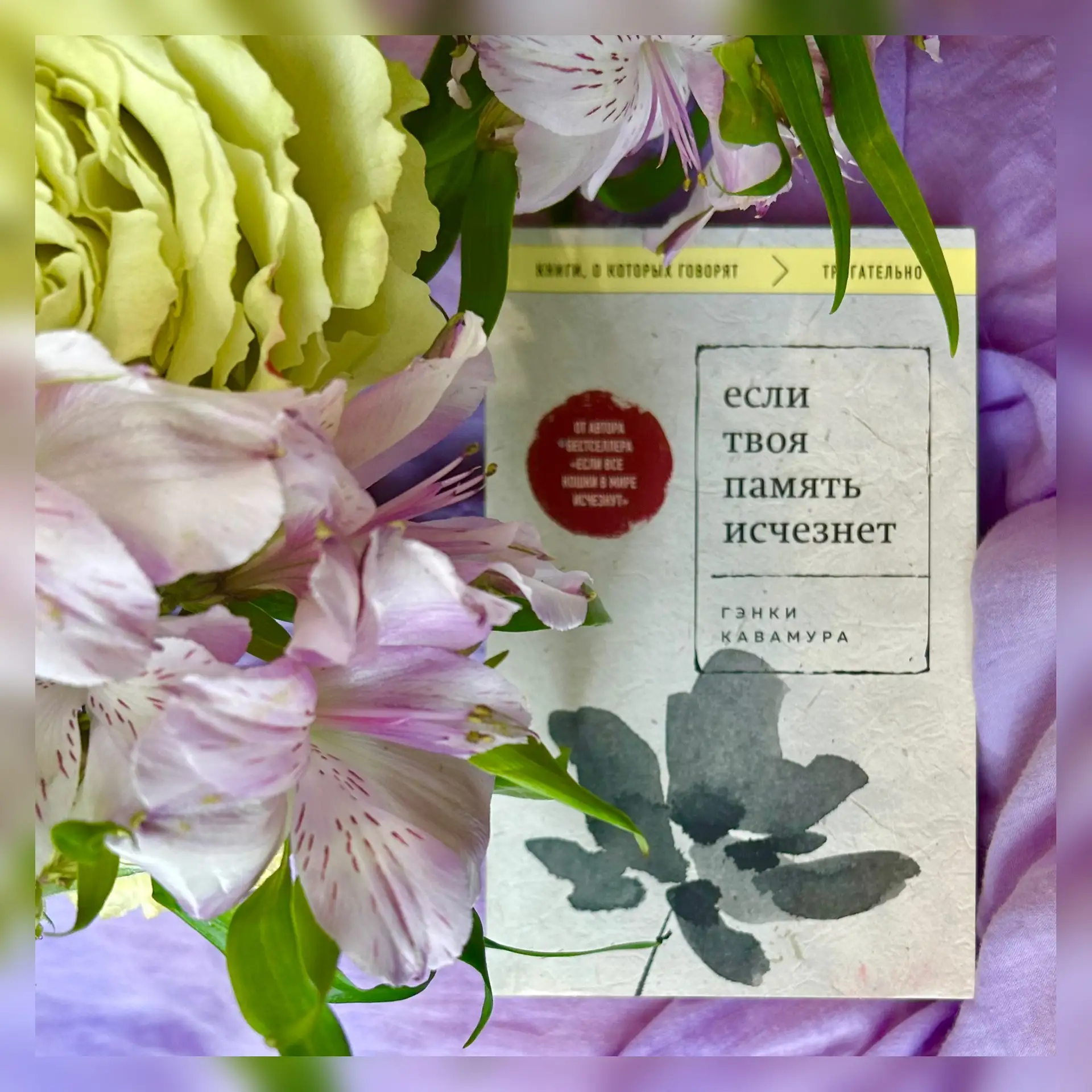 «Если твоя память исчезнет» 📖

«Когда-нибудь память о каждом из нас — за исключением разве что тех,