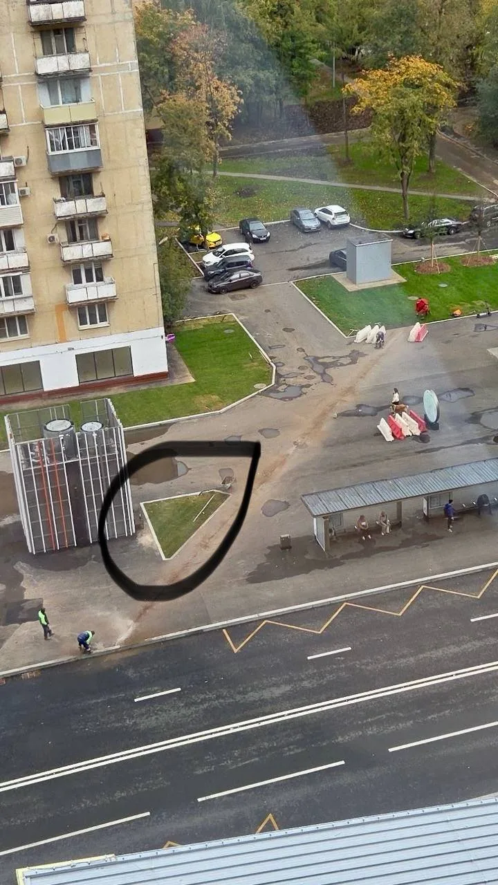 Дизайн газонов не перестает удивлять. К такому привыкнуть сложно 😁
