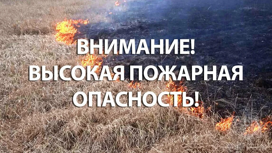 Предупреждение!!!