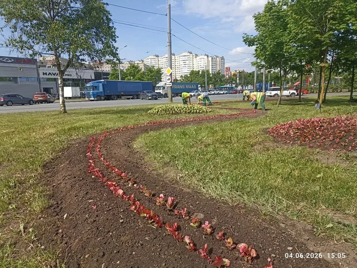 На проспекте Стачек возле Кронштадтской площади появляется изящный цветник, который мы шутливо назыв