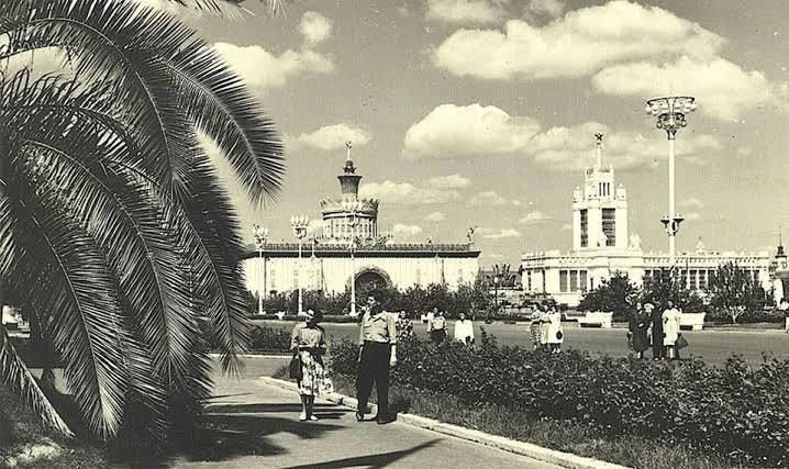 🌴 Спустя 90 лет на ВДНХ вернулись пальмы

Этим летом здесь высадили 10 финиковых пальм как отсылку 