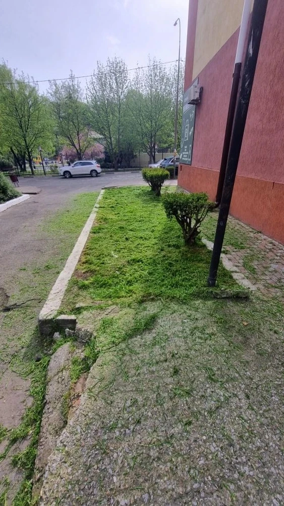 Приступили к работам по покосу сорной растительности на придомовых территориях под упра...