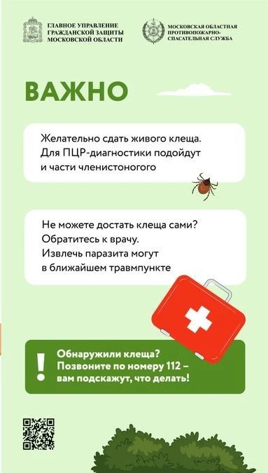☀️ Май радует жителей Подмосковья по-настоящему теплой и солнечной погодой – дома не усидеть, так и 
