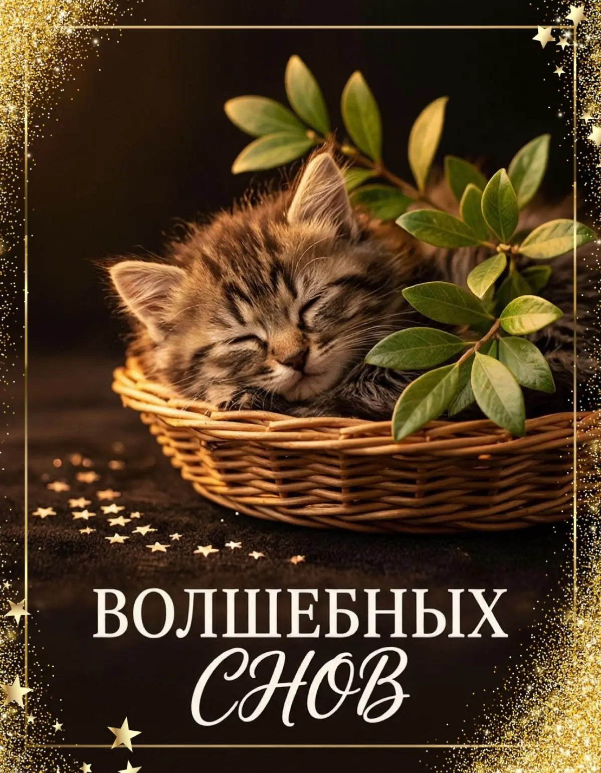 💌 Добрые открытки в MAX