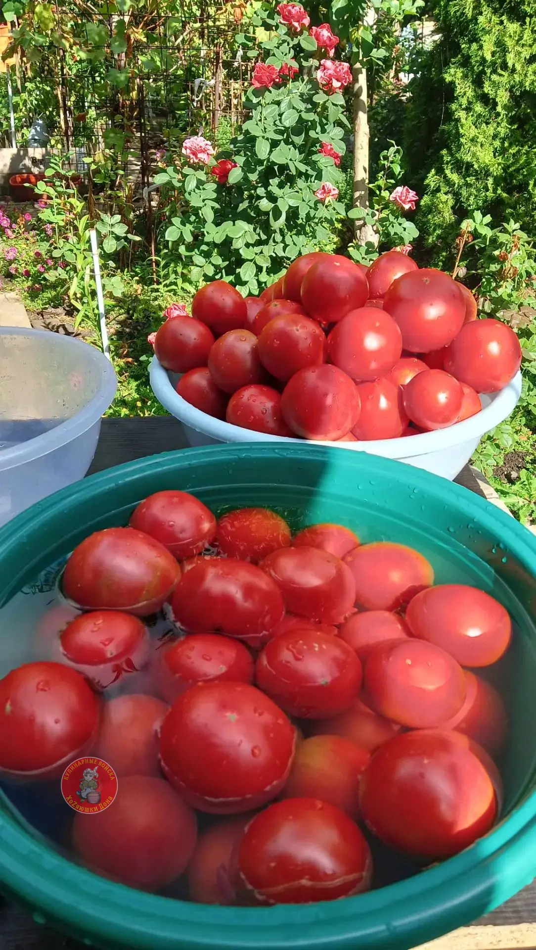 У нас тут своя атмосфера🍅