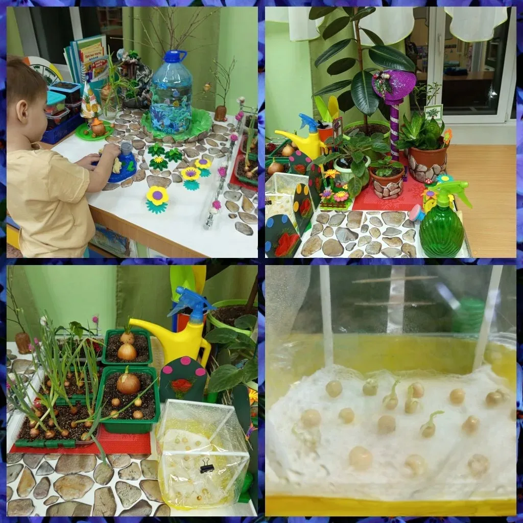 Огородные хроники🌱🪴 группы Капельки: "От семечка до великана".🥑🌳 Наш огород 🥕🧅🌶н...