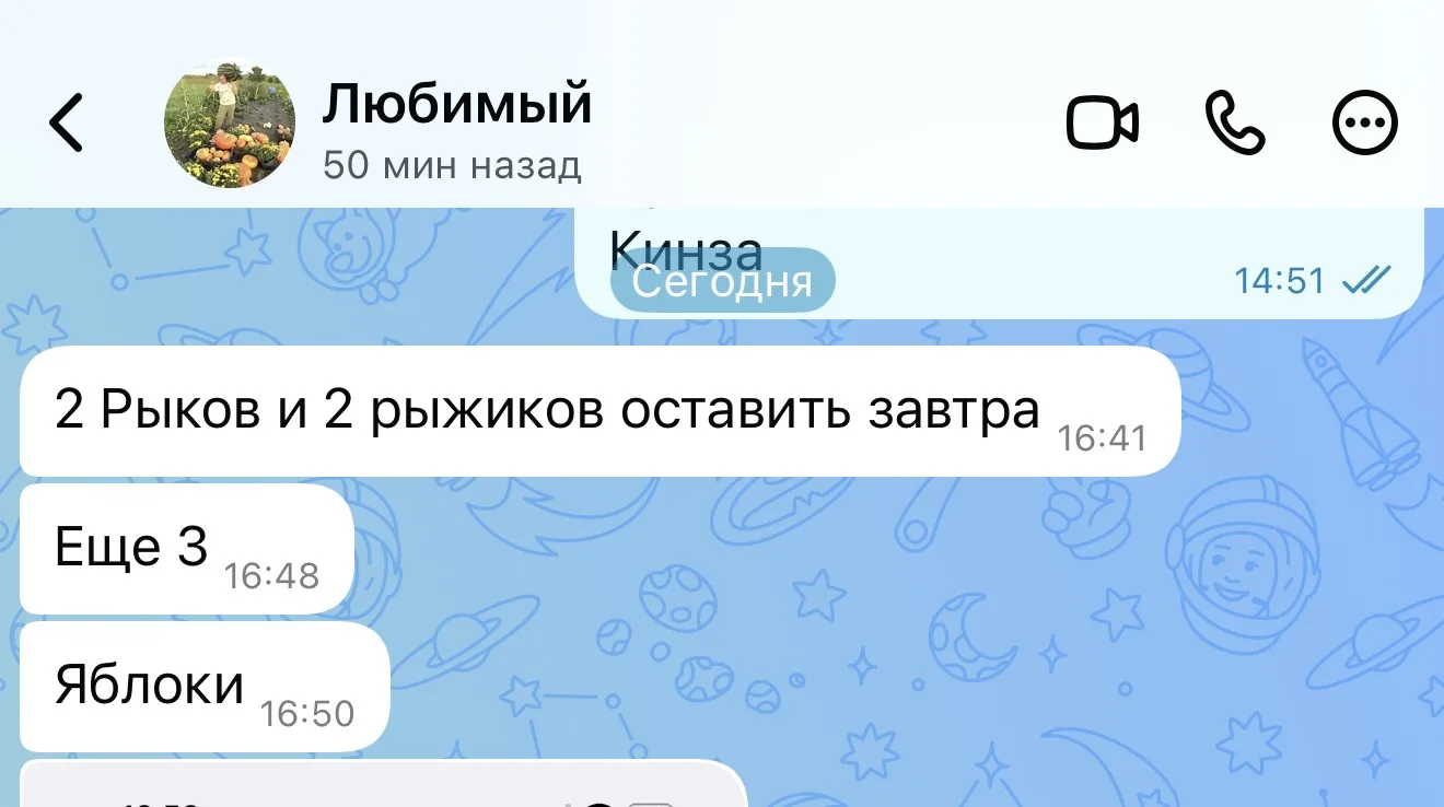 От Сереги получаю заявки на завтра.