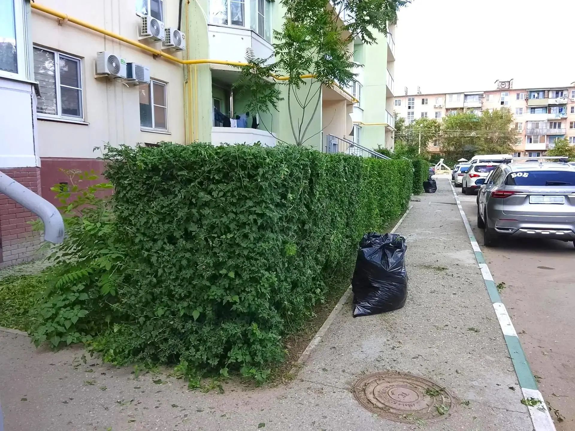 К новости «🌿 Живая изгородь: ровные линии вашего двора»