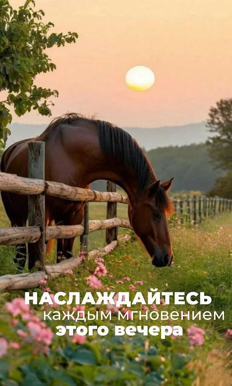 Добрый вечер!