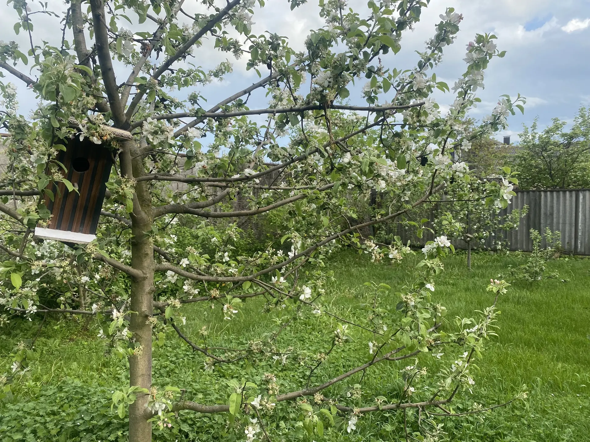 🍏🍎Немалое количество времени в детском саду ребята проводят на прогулке. Это, пожалуй...