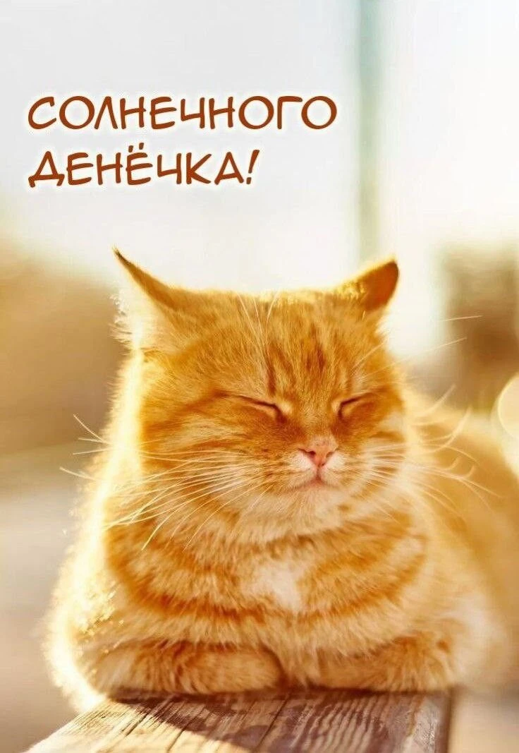 👉 Открытки в MAX – подписывайтесь