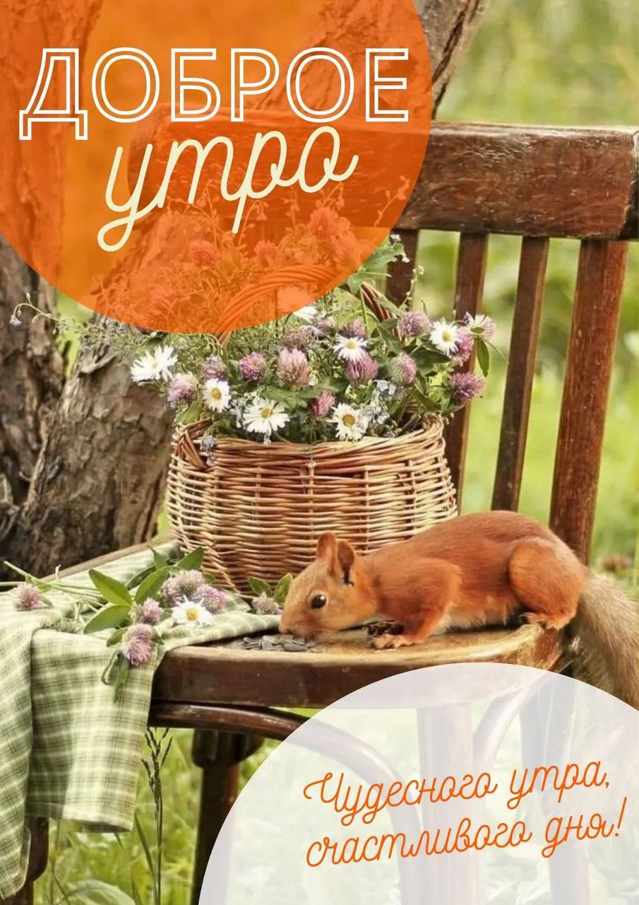 #утро
Картинки на каждый день