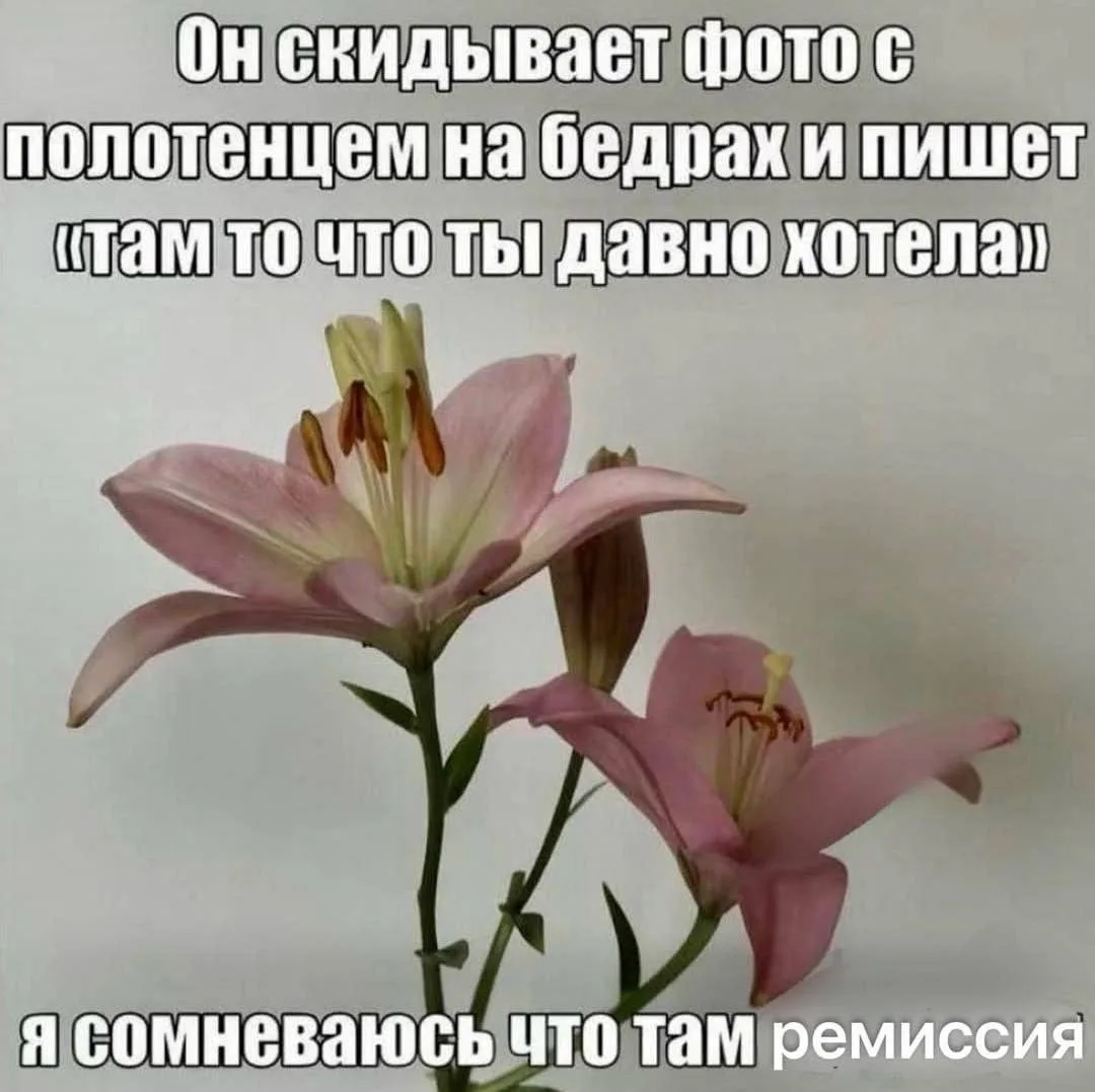 Или адекватная политика руководства страны относительно соц.сетей и бизнеса...