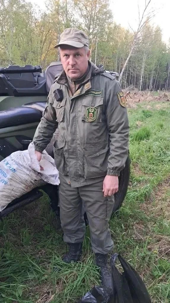 Двух медведей застрелили после набегов на деревню в Тяжинском округе
