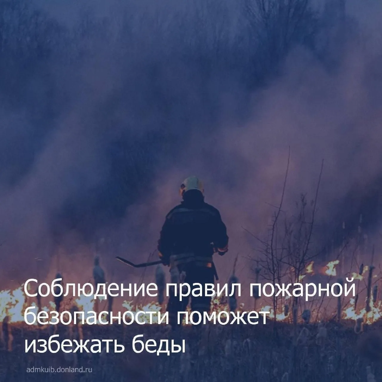 В большинстве случаев ландшафтные пожары возникают из-за людской небрежности.