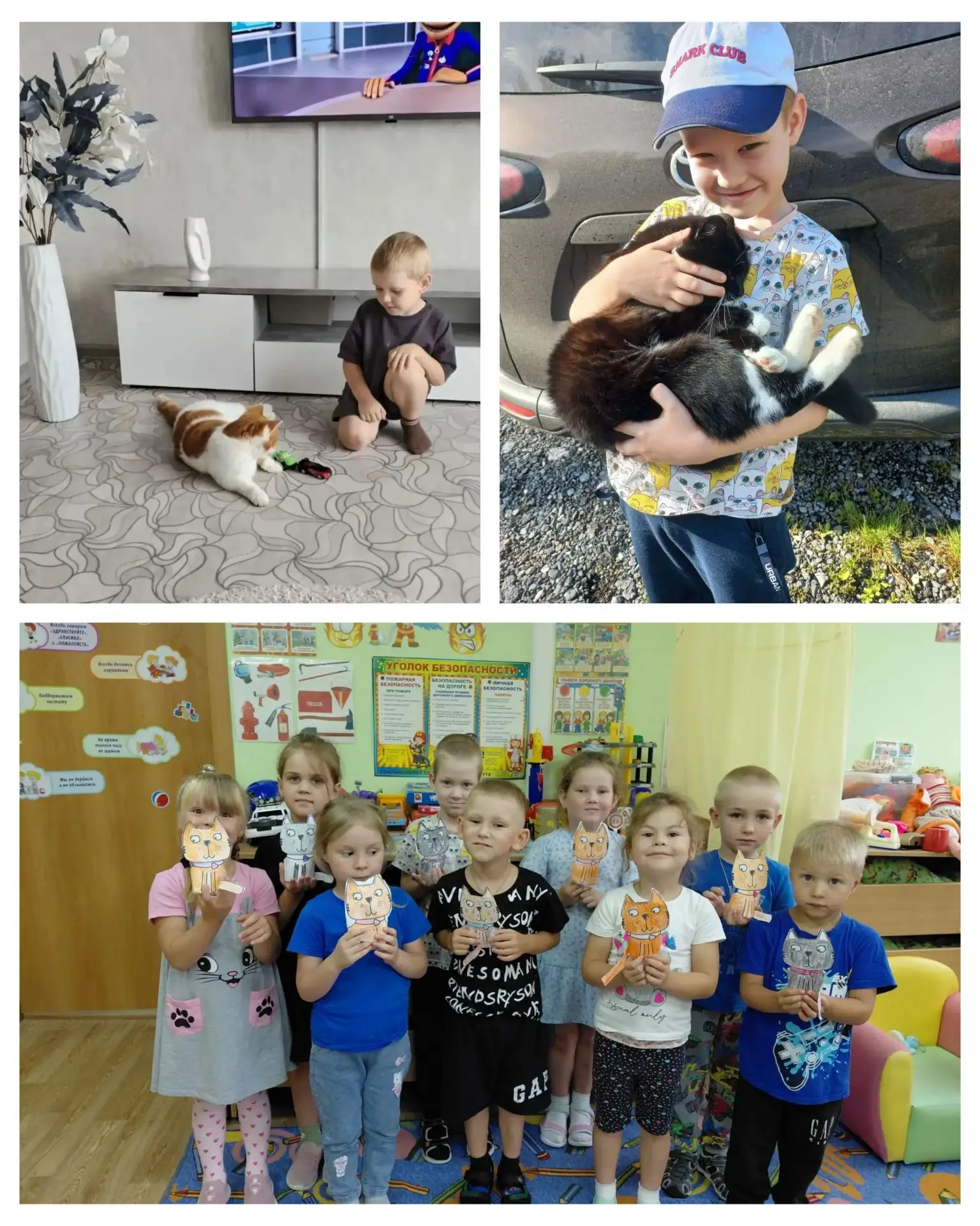 «Без кота и жизнь не та»- так часто говорят в народе.😺