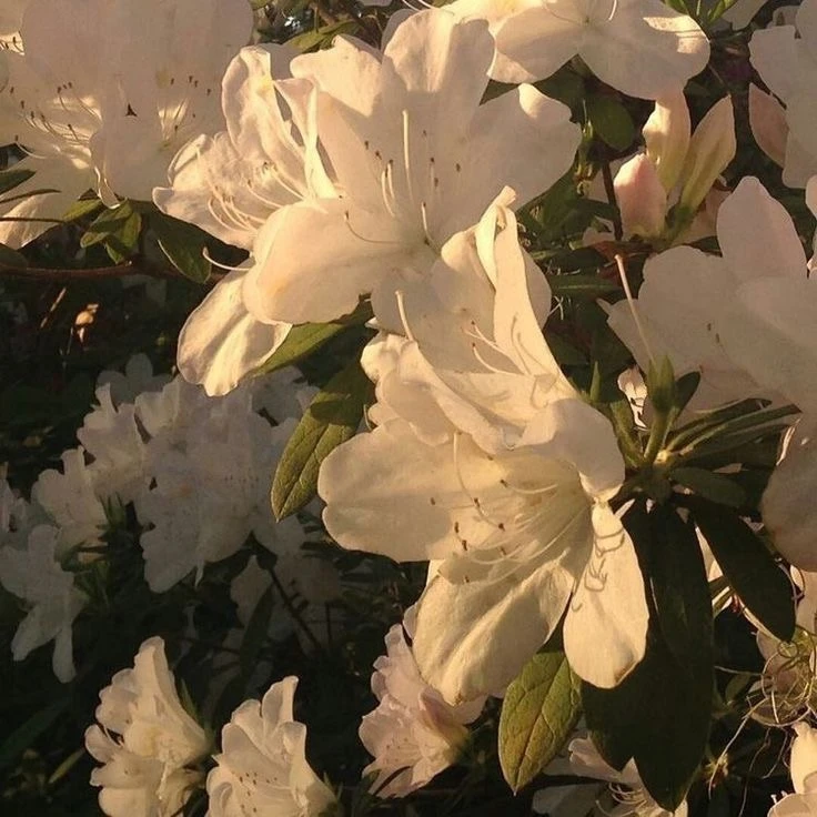 💕 Доброе утро
как вам сегодня спалось?

выжить в школе