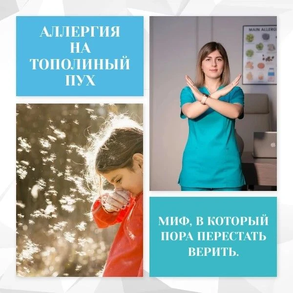 Каждое лето я слышу одно и то же: «Доктор, у меня аллергия на тополь!». И каждое лето я...