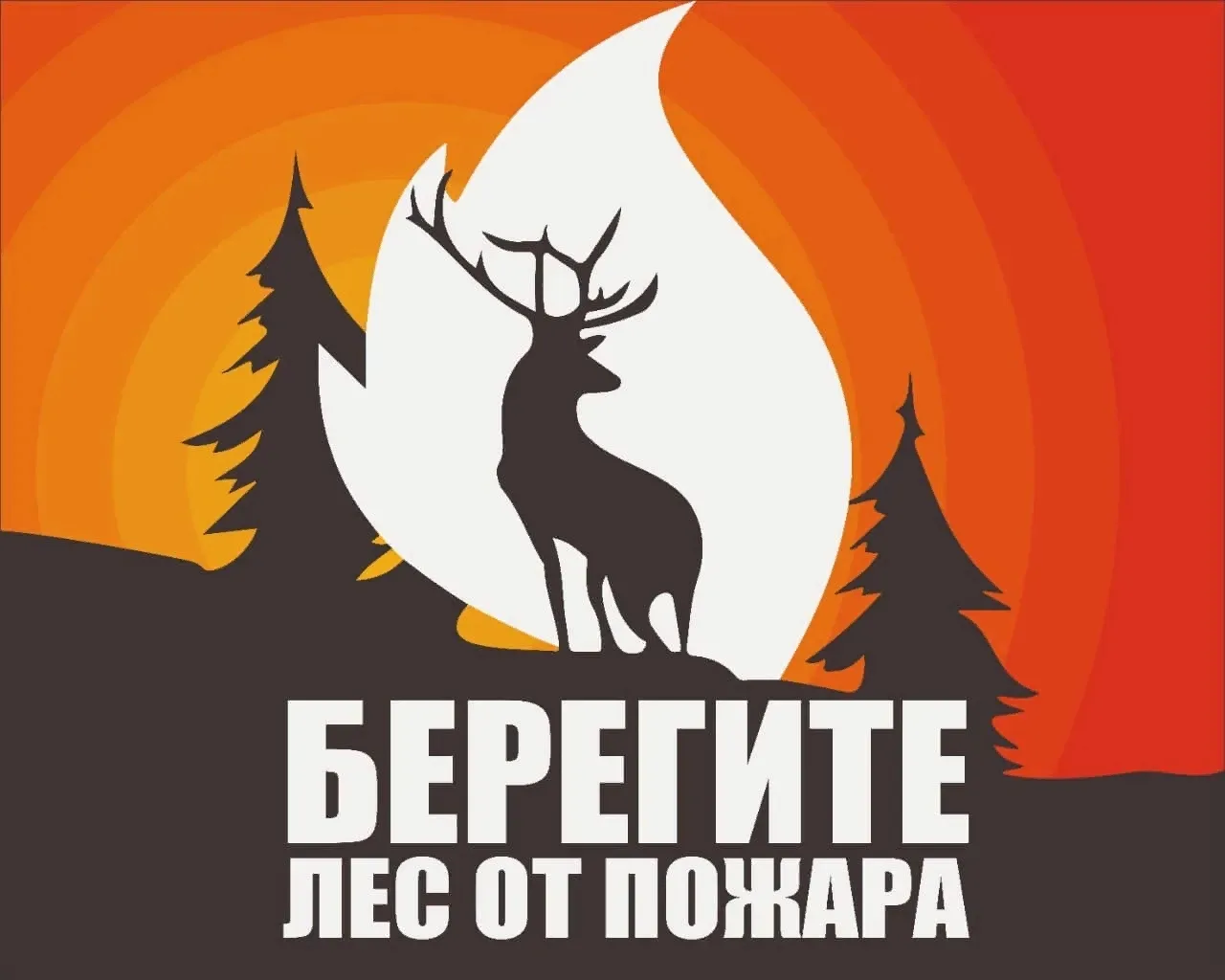 9 августа — Международный день защиты леса от пожаров 🔥