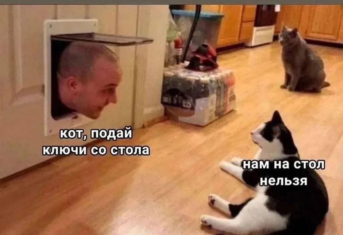 А вот и ответочка 😁