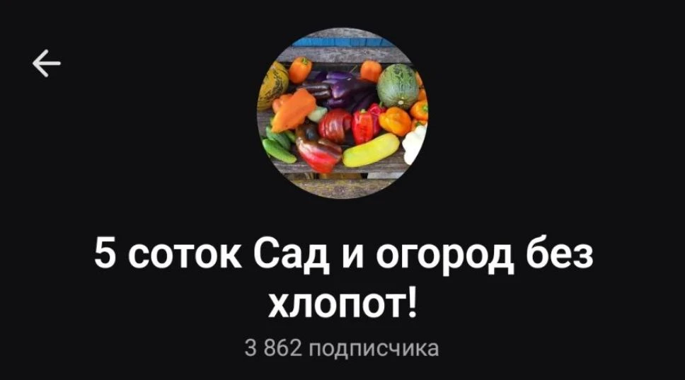 Подборка к https://max.ru/pyatsotokirinakanal (без розыгрыша по номерам)