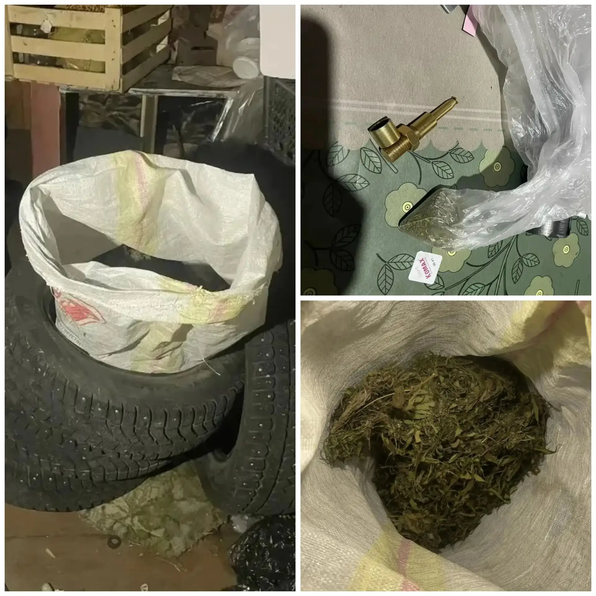 🌱 В Тогуре у сельчанина нашли 430 граммов марихуаны: возбуждено уголовное дело