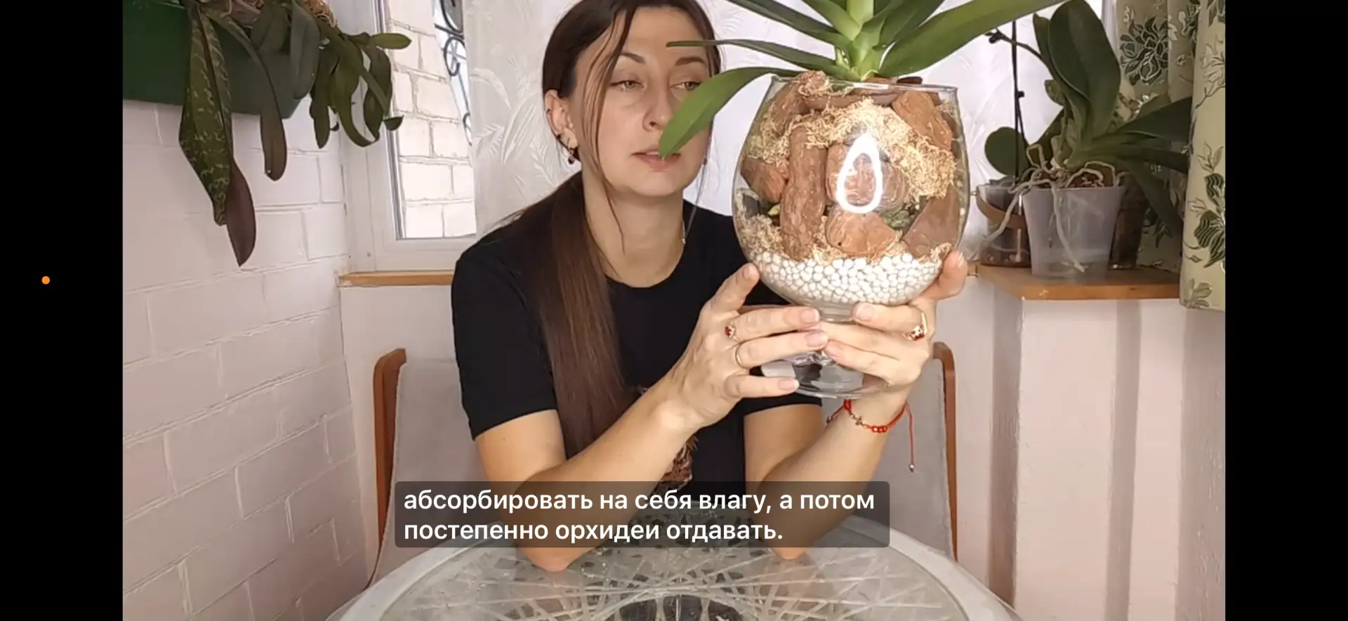 Пересадка орхидеи в Закрытую Систему https://vkvideo.ru/video-227528895_456239188?t=6s