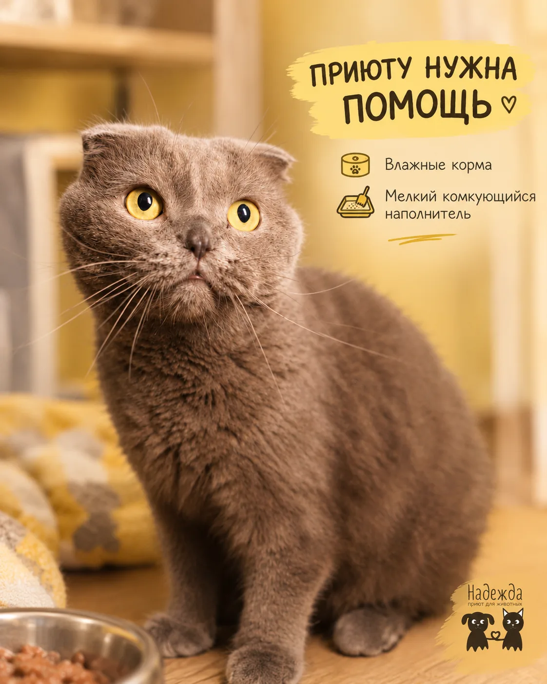 🐾 Список того, что сейчас особенно нужно приюту