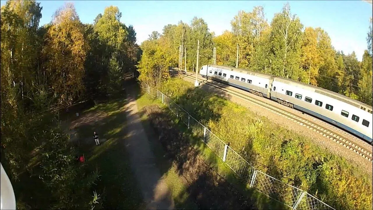 🌳 В Удельном парке хотят вырубить деревья за миллион рублей