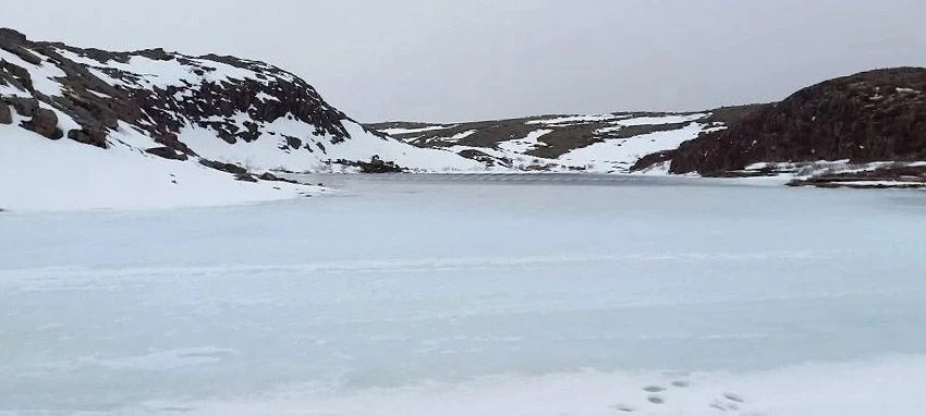 Териберка: путешествие в сердце Арктики  🌏 На весенних каникулах юнармейский отряд посетил город Мур
