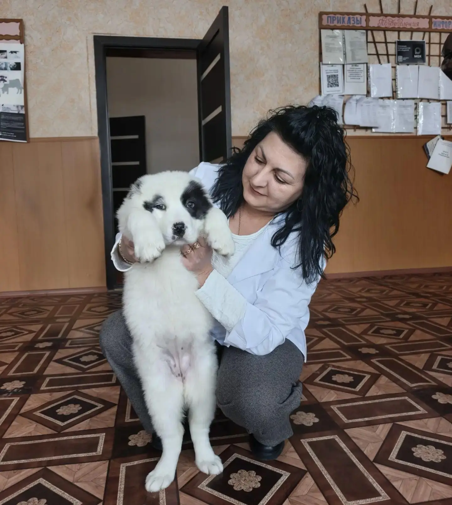 На прием в ОГУ "Балтайская районная станция по борьбе с болезнями животных" был доставл...