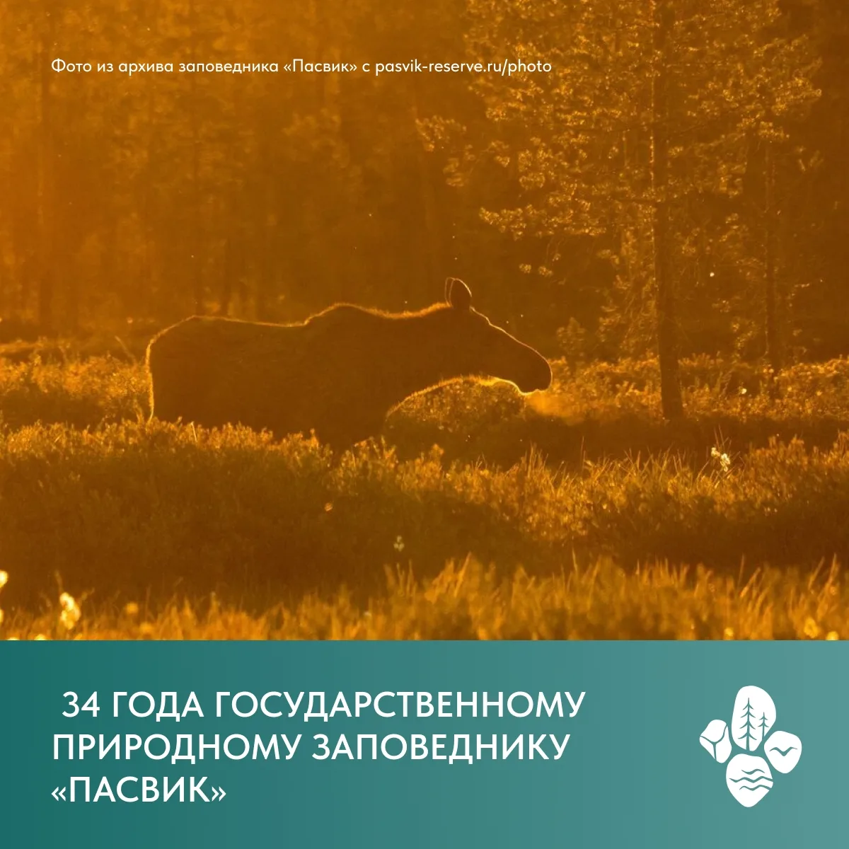 34 года Государственному природному заповеднику «Пасвик» 🎉

🗺 Государственный природный заповедник