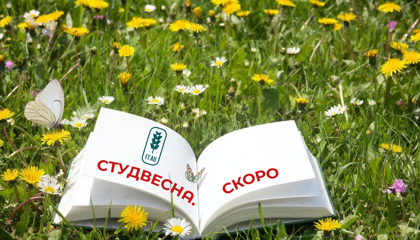 🐞 Чего все ждут в феврале? Весны...  Чего ждут студенты? Студвесны!  До фестиваля молодежного творче