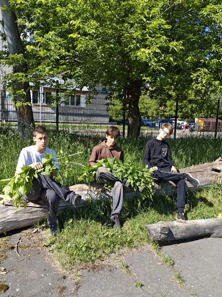 Деятельность трудового отряда "Актив" 8 июня 2026 года.

День для участников трудового отряда началс