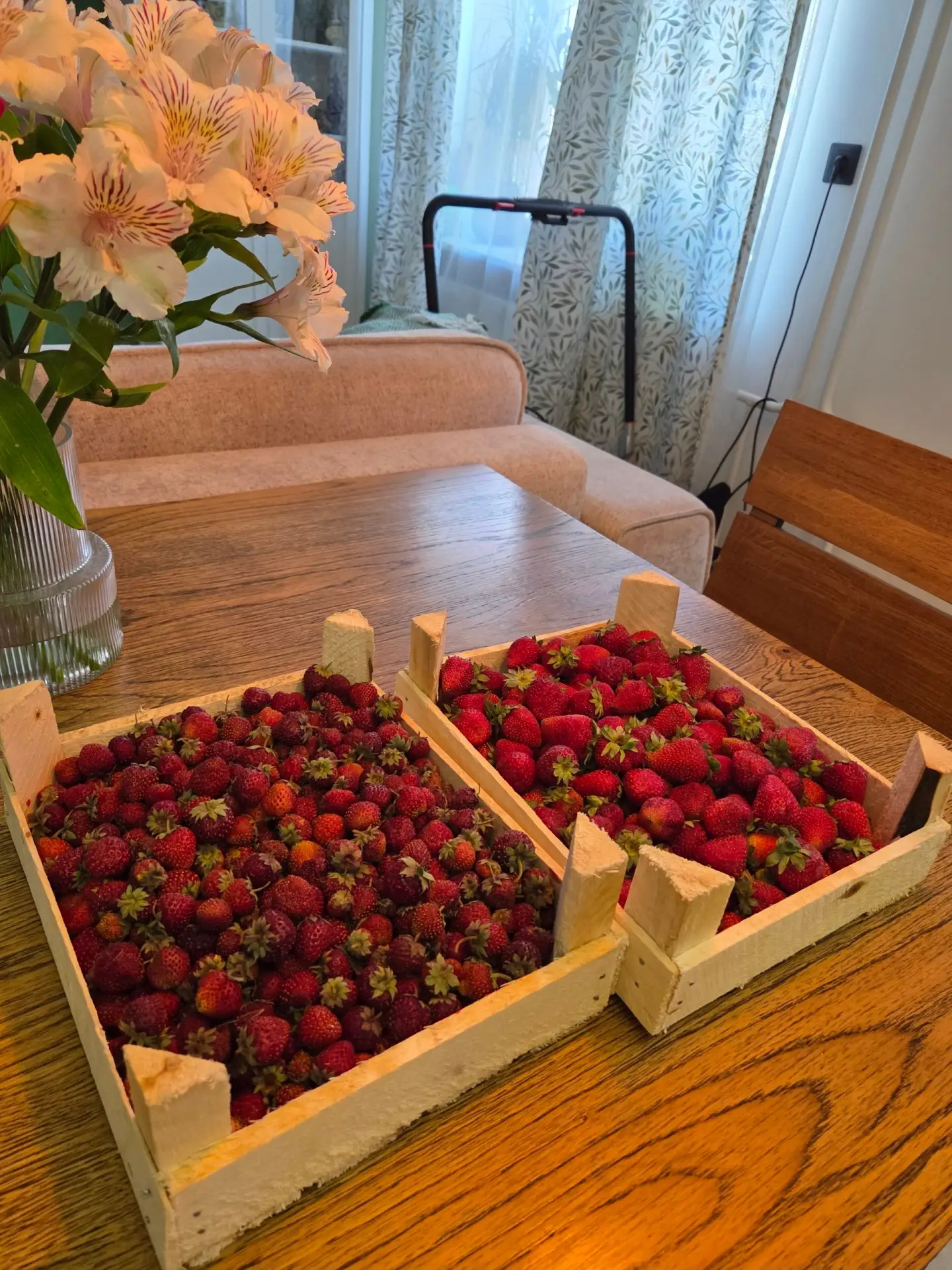 Из чего я буду состоять ближайшие 3 дня -🍓
