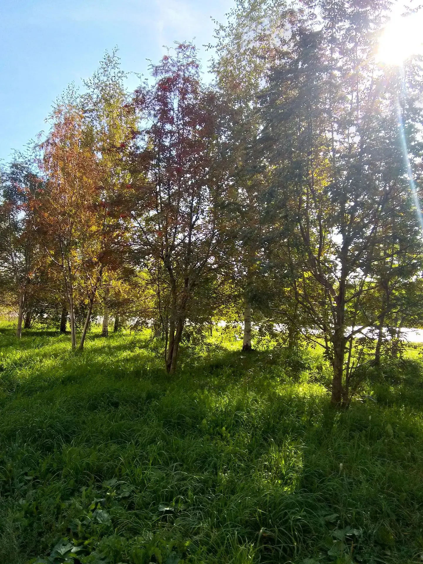 🍁Золотая осень.