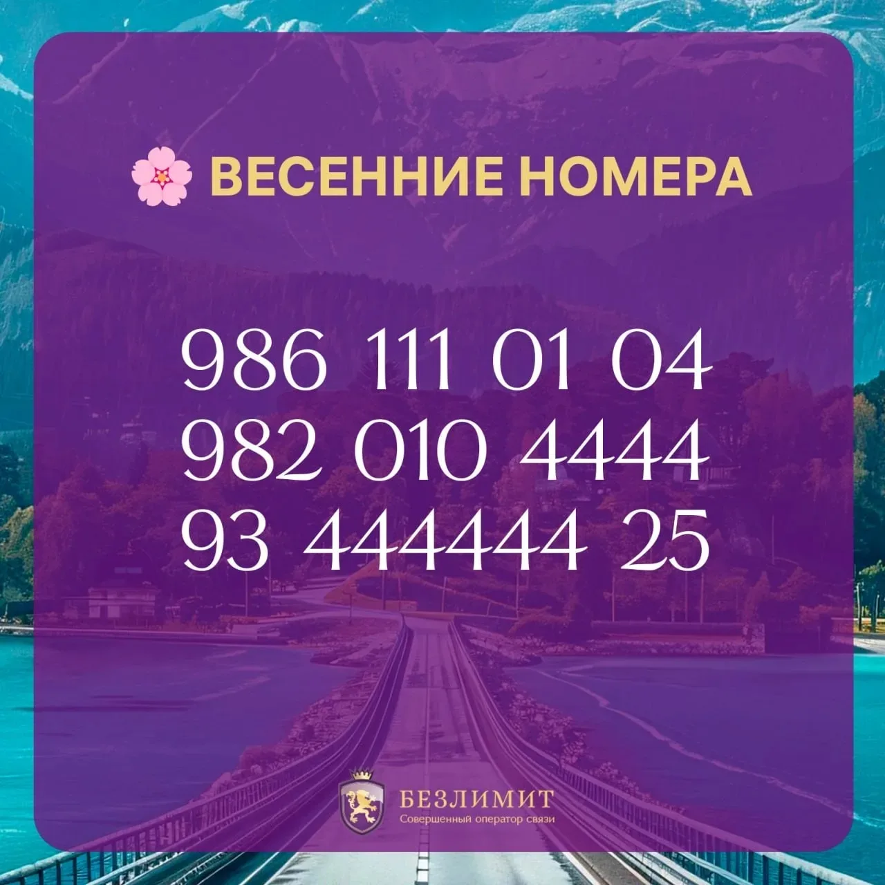 📍 Подборка недели