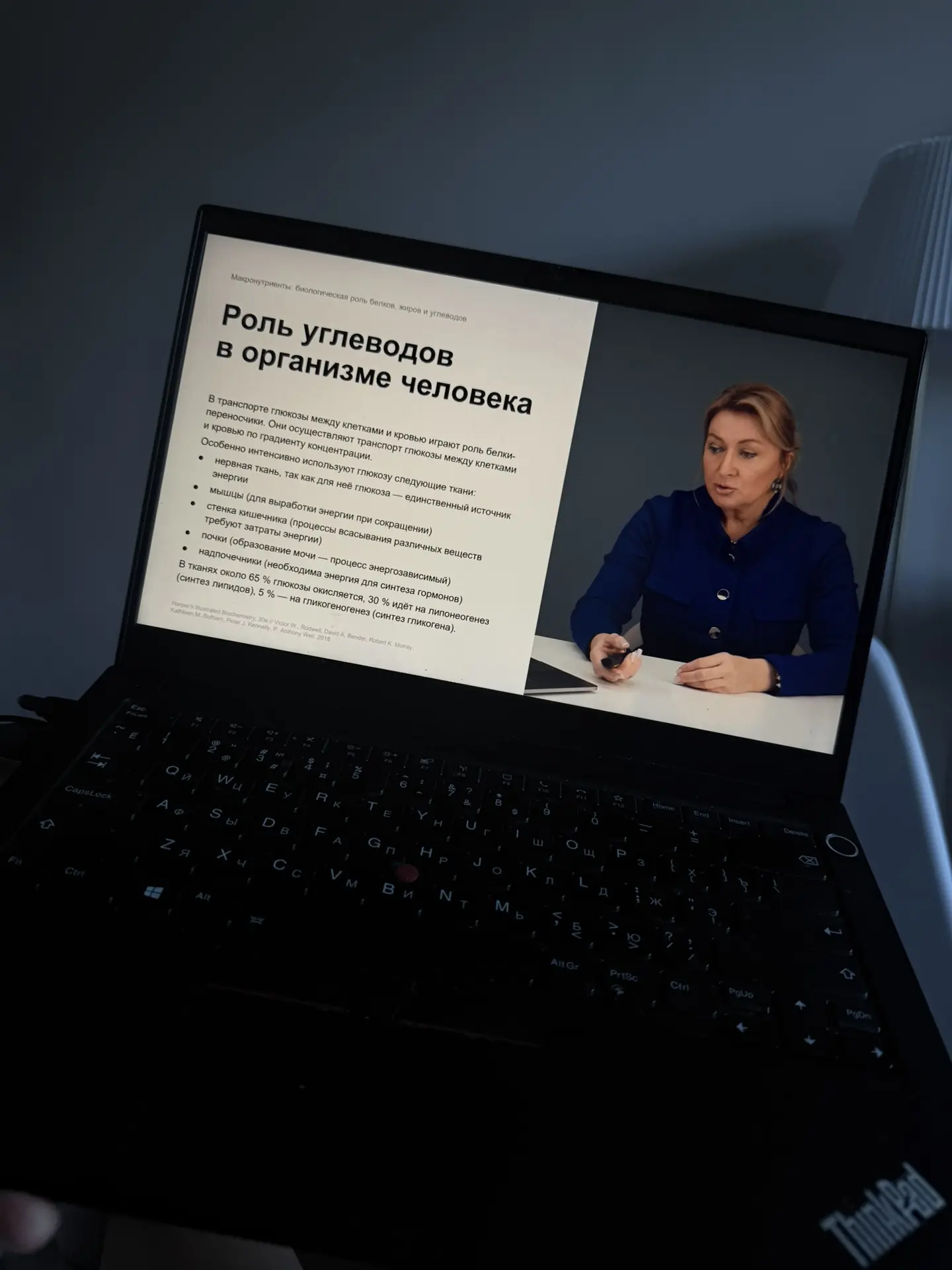 Теперь мои вечера (и дни 🤭) выглядят примерно так))