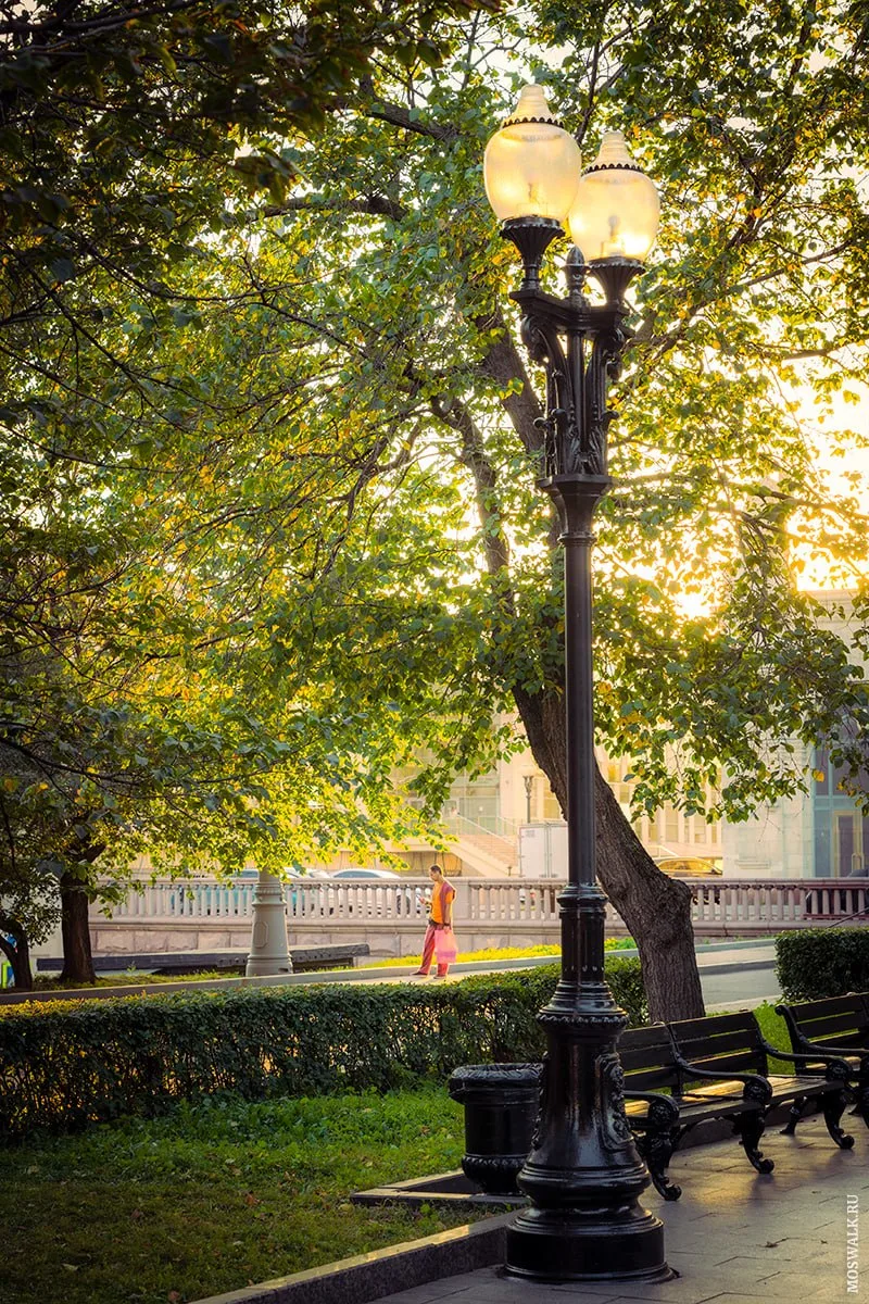 Утренние аллеи на Кудринской площади ☀
