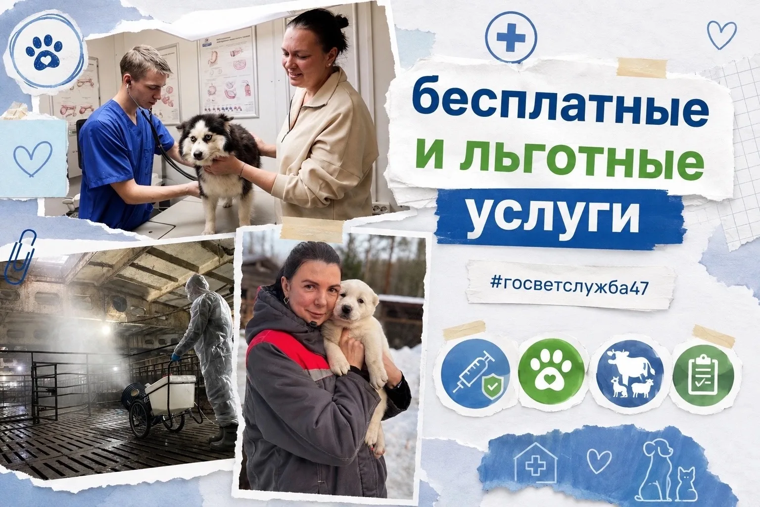 В #Ленобласть вы можете получить бесплатные и льготные услуги!