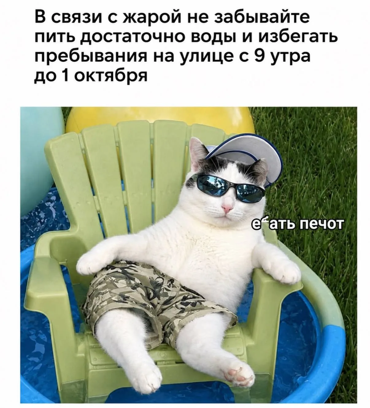 Сохраните эту важную информацию. Поделитесь ей с близкими. Если не мы, то кто😅