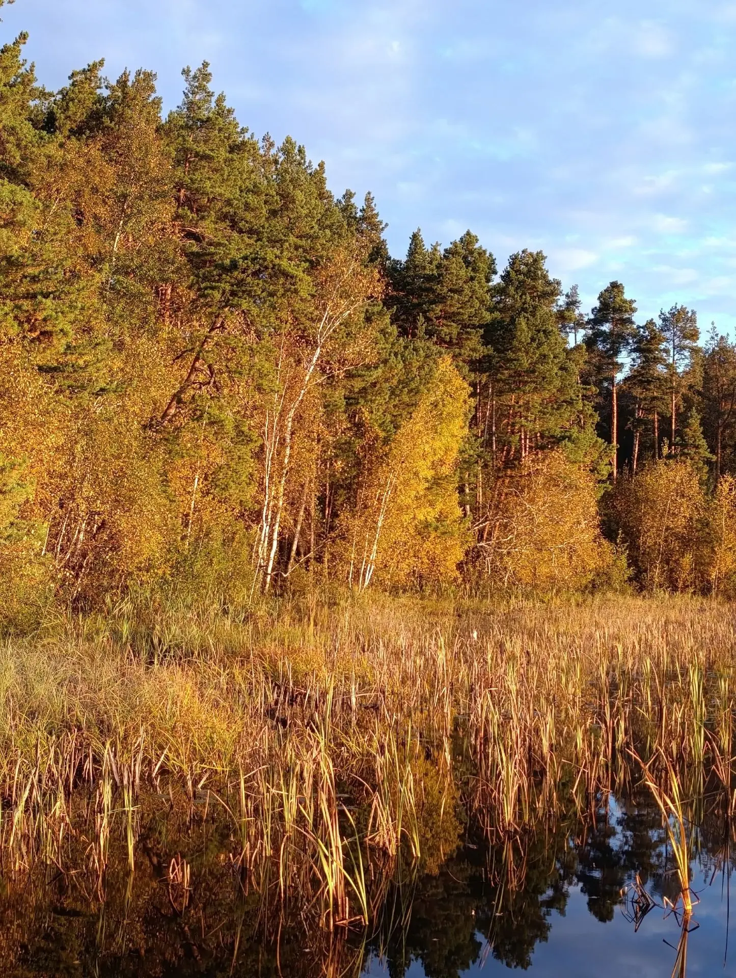 Доброе утро Алатырь 🍁🍁