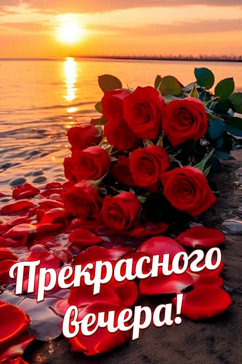 ОТКРЫТКИ